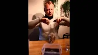 G&ouml;r eget snus (Prillan) fr&aring;n snusanu