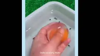 Oddly Satisfying Video #oddlyviral #shorts