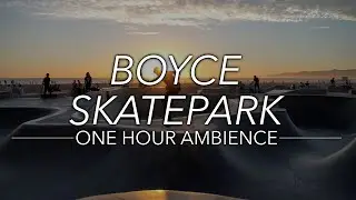 🎧Boyce Skatepark | One Hour Ambience