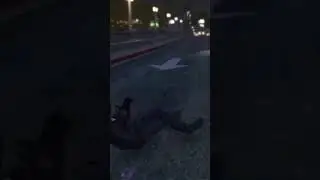 GTAO Root Of Evil: Ejecto Seato Cuzz &ldquo;DeCash&rdquo;