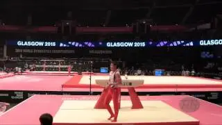 KIM Hansol (KOR) - 2015 Artistic Worlds - Qualifications Pommel Horse