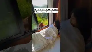 Wake up call by an Elephant #youtubeshorts #ytshorts  | The Tamil All Rounder |