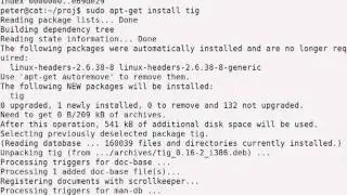 004 git init