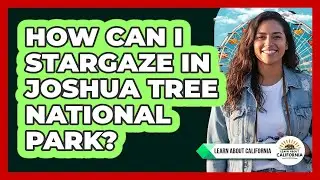How Can I Stargaze In Joshua Tree National Park? - Learn About California