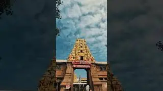 ಗುಡ್ಡಾಪುರ ದಾನಮ್ಮ ದೇವಿಯ ದರ್ಶನ||#GuddapurTemple#DevotionalShorts#Spiritual#Darshan#TempleDarshan#VJP