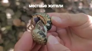 Сан Хуан, Вокруг крепости  San Juan, Around the castle