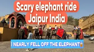 Scary elephant ride Jaipur India