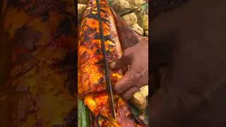 Grilling a gigantic squid for lunch | outdoor squid party for seafood enthusiasts 🐙