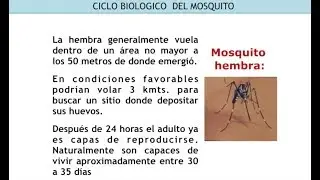 Arbovirosis y cambio clim&aacute;tico: el caso del Dengue Zika y Chikungunya