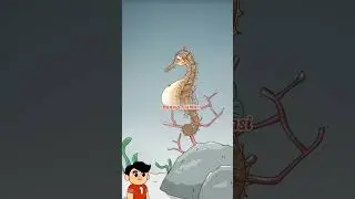 Kuda yang melahirkan 😱