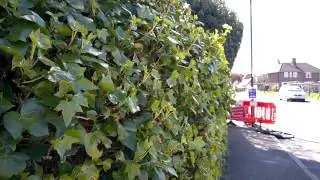 Lumia 640 XL rear camera sample video