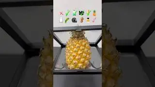 Can it fit?