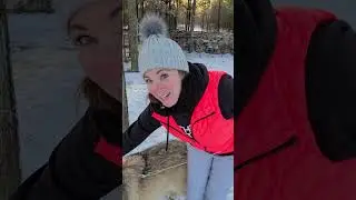 Wolf up close and person #Wolf #wolves #rusticretreatdeerpark #wisconsin #scary #fun #trending