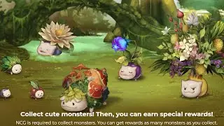NINE CHRONICLES | Adding NFT pets, item farming and more levels