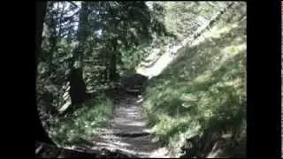 Tegelbergbesteigung &uuml;ber P&ouml;llatschlucht und Lehrpfad/Reitweg