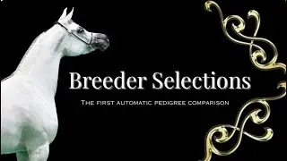 The FIRST automatic PEDIGREE COMPARISON : Breeder Selections