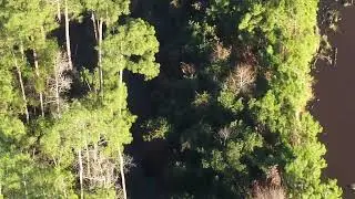 Slidell hunting lax property