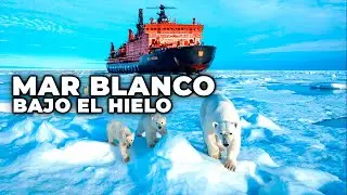 Ártico ruso y Mar Blanco: Vida Marina Bajo el Hielo - Documental