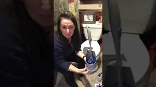 The Norwex Ergonomic Toilet Brush and Bathroom Cleaner!