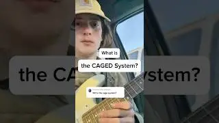 What does the CAGED System do?