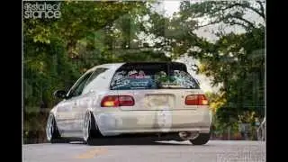 Jdm Honda Tribute