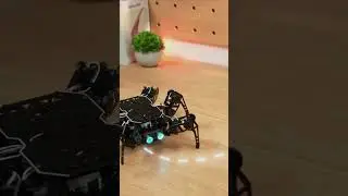 🕷️ Master Hexapod miniHexa with PC Software Control! 💻⚙️