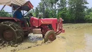 Mahindra Tractor की दमदार Performance | कीचड़ वाले खेत में जबरदस्त लेवलिंग!#tractor @PramodsLife 