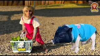 Smart monkey YiYi goes to the market to buy vegetables for piglets