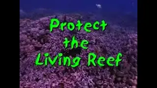 Protect the Living Reef - Diver Version