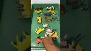 Animal Toy Collection | Farm and Wild Animal Toys #animals #toys