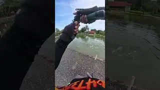 ikan ade saiz..  #fishing #angler #nuarcaster #casting #memancing #fishinglife #fish