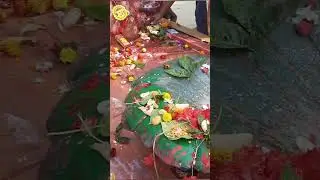 Madpur Mansa Mandir 🌺🌸🙏🏻🙏🏻 #youtube #ytshorts #shorts