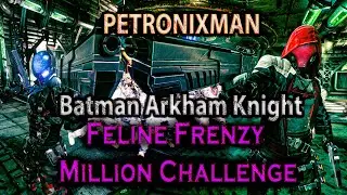 Batman Arkham Knight - Red Hood (Feline Frenzy Million Challenge)
