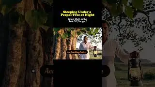 Sleeping Under a Peepal Tree at Night: Ghosts or Real CO₂ Science? #PeepalTree​ #MythBusting​