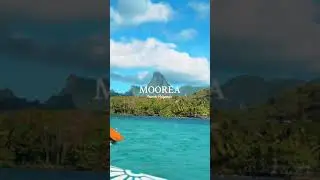 Moorea: The Island That Stole My Heart 💙 | French Polynesia&rsquo;s Hidden Gem