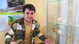 Video CIPAT Tamajón