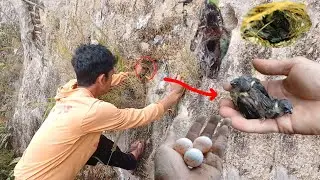 Mantap juga nyari sarang burung dipinggir sungai || lumayan juga poinya