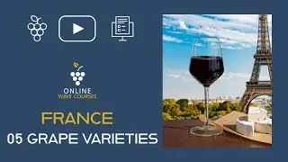05 Grape Varieties  | France 🍇 Online Wine Courses  ➡️ with QUIZ