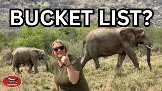 Should a Safari Holiday Be on Your Bucket List? | Sebatana Private Reserve Experience 4K