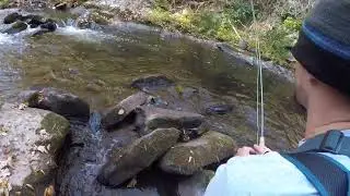 Fishing The Jacks
