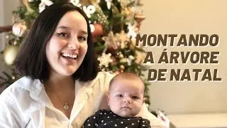 MONTANDO A ÁRVORE DE NATAL PARTE 2 - escolhendo o pinheiro natural e decorando a casa ♡ Vlog da Jess