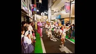 #awaodori #awadance #dance #festival #cosplay #阿波踊り ＃三茶連