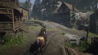🤠💩🐎 [PLAY] sip - RDO | shitty bridge