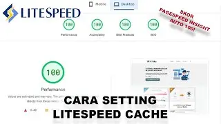 Cara Setting LiteSpeed Cache | Skor PageSpeed Insight Auto 100!