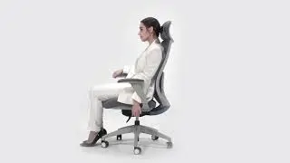 Scaun ergonomic Lido H