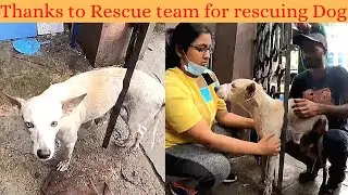 Thanks 🙏 to Rescue team for rescuing 🐕 Mother Dog...🥺 | #shorts | #GyanShare | #Createwithcare