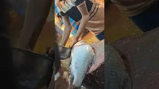 Katla Carp Fish Cutting Video | #Shorts #fish