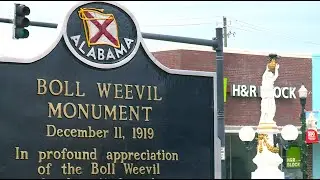 Show 612B - Boll Weevil Statue Centennial