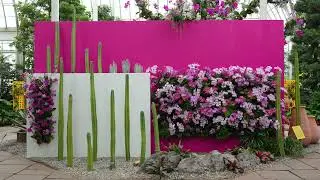 The Orchid Show: Mexican Modernism