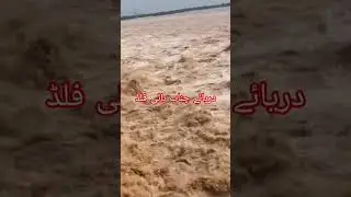 High Flood in River Chenab 2025 |Punjab flood update #flood #river #chanab#shortvideo #viralvideo